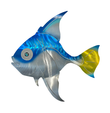 Angelfish Blue