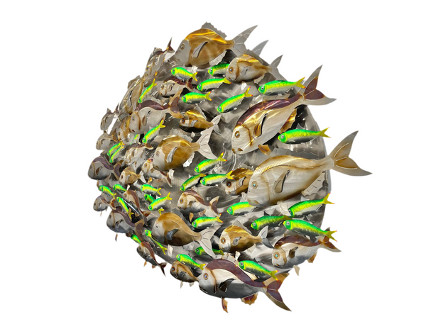 Snapper with green Pilchards