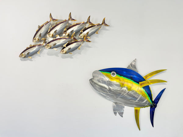 7 Kingfish Heat treated colourings