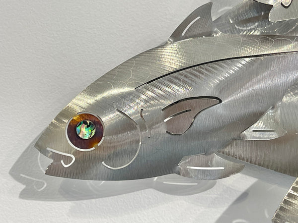 Up & Over “Silver John Dory”