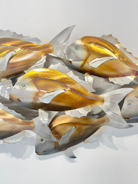 Snapper 7 Barely Legal Golden Snapper