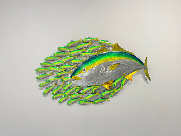 Hunting Kingfish.L bait-ball with Green baitfish mini