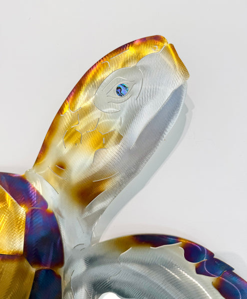 Turtle electric blue Heat treated 80cm