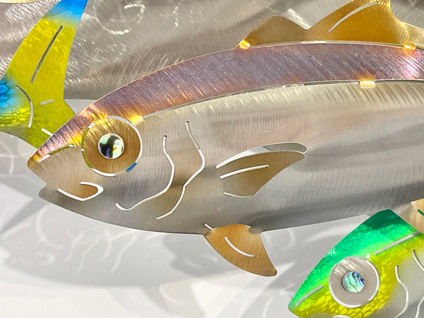 7 Kingfish Triple mix of colour