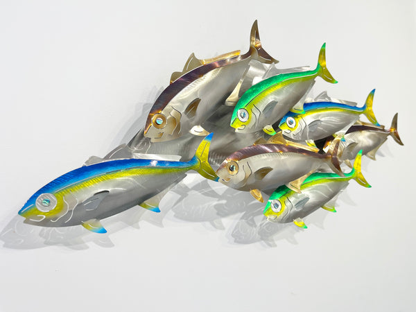 7 Kingfish Triple mix of colour