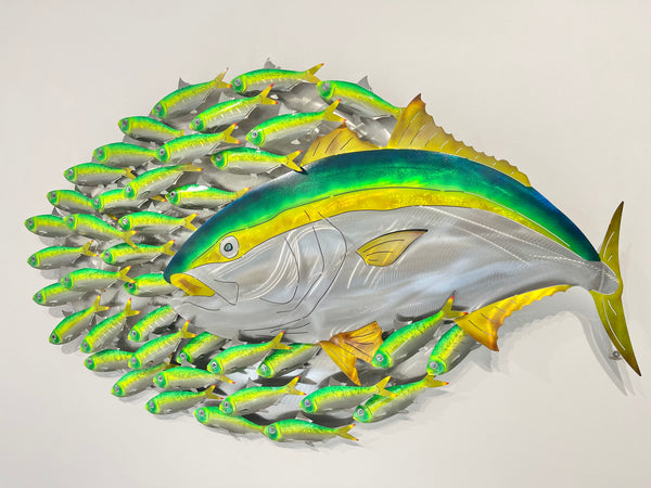 Hunting Kingfish.L bait-ball with Green baitfish mini