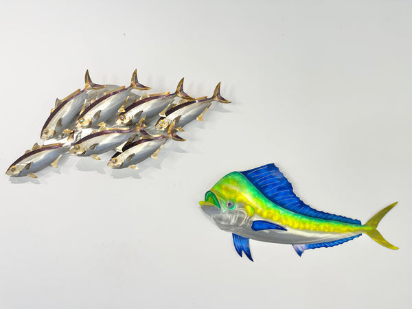 7 Kingfish Heat treated colourings