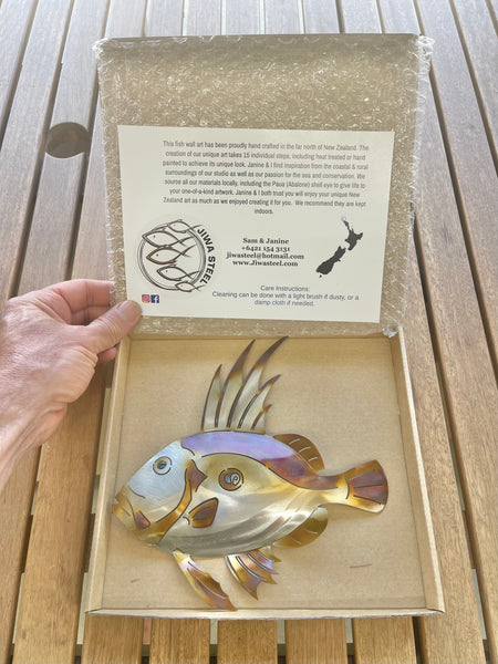 John Dory medium