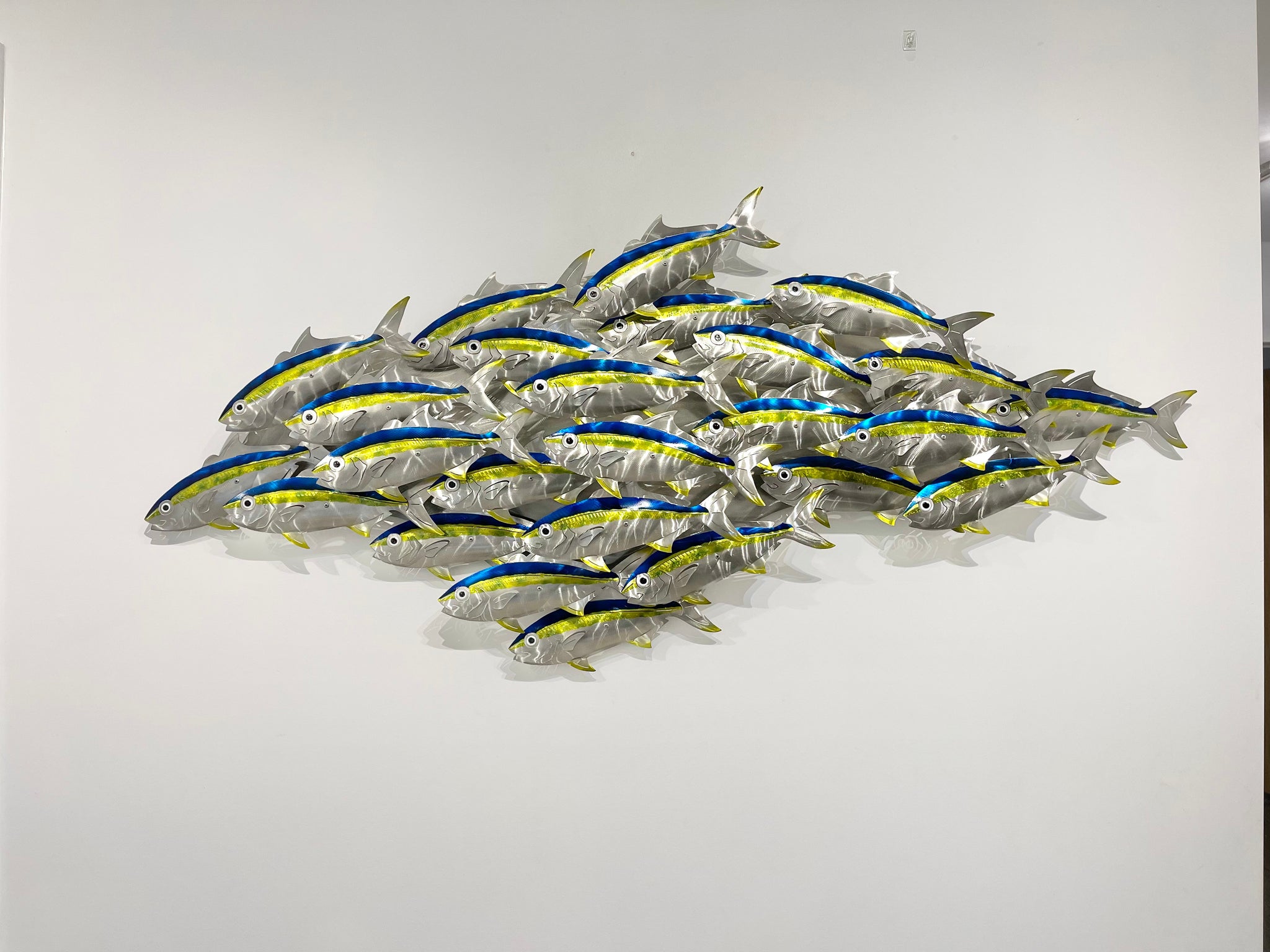 Deep water Kingfish
