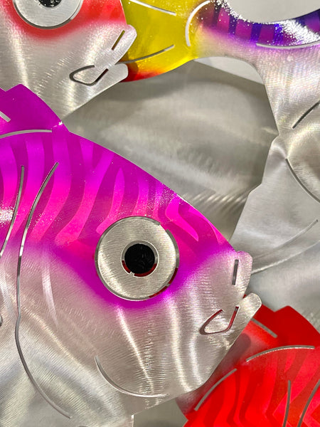 Line up of Angel fish “Airbrushed”