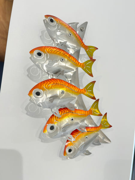 Moonfish coloured Orange & yellow tiger