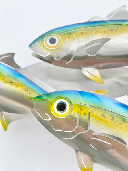 Airbrushed Oval Kingfish school