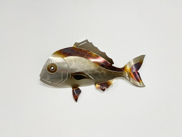 Under size snapper KELPY