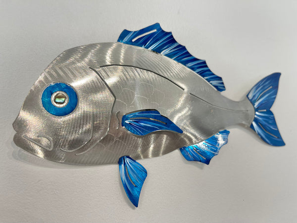 Under size snapper “Hand painted blue”