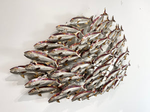 Large Koheru/Kingfish school heat treated multi colourings