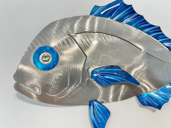 Under size snapper “Hand painted blue”