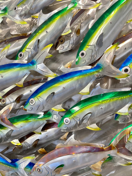Large Kaheru/Kingfish School mixed colour