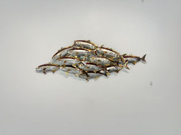 Dozen size Kingi school “Heat treated”