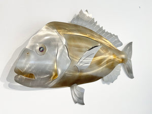 Pannie Snapper - Gold