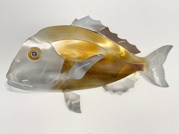 Barely legal gold snapper