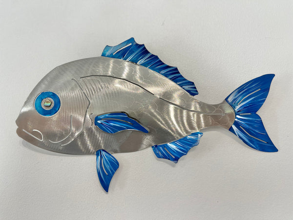 Under size snapper “Hand painted blue”