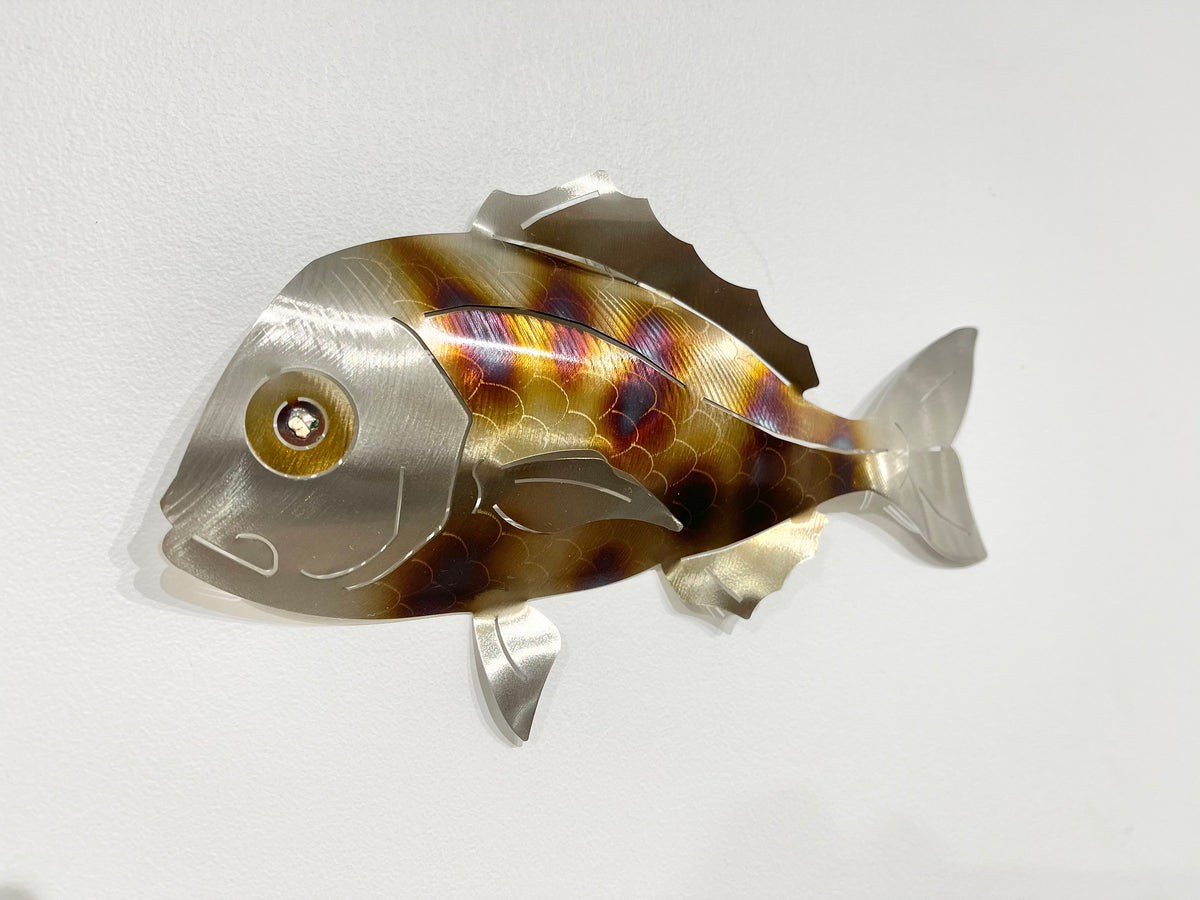 Under size snapper STRIPY – Jiwa Steel