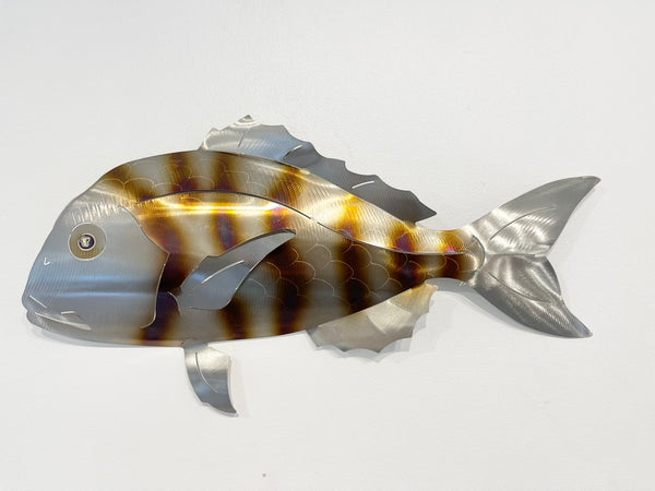 Barely legal snapper STRIPY
