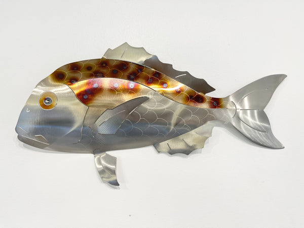 Barely legal spotted snapper