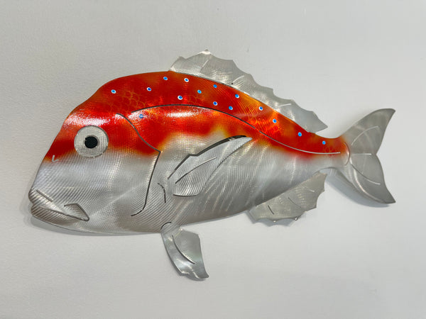 Barely legal Airbrushed coloured snapper