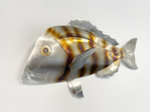 Barely legal snapper STRIPY