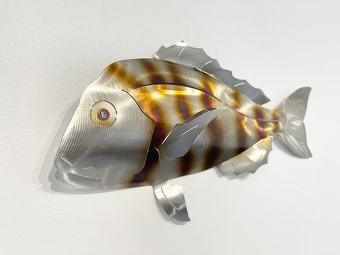 Barely legal snapper STRIPY
