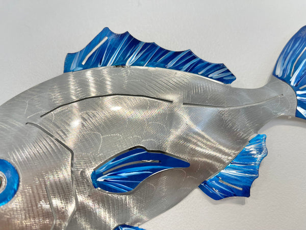 Under size snapper “Hand painted blue”