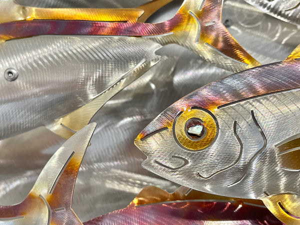 Dozen size Kingi school “Heat treated”